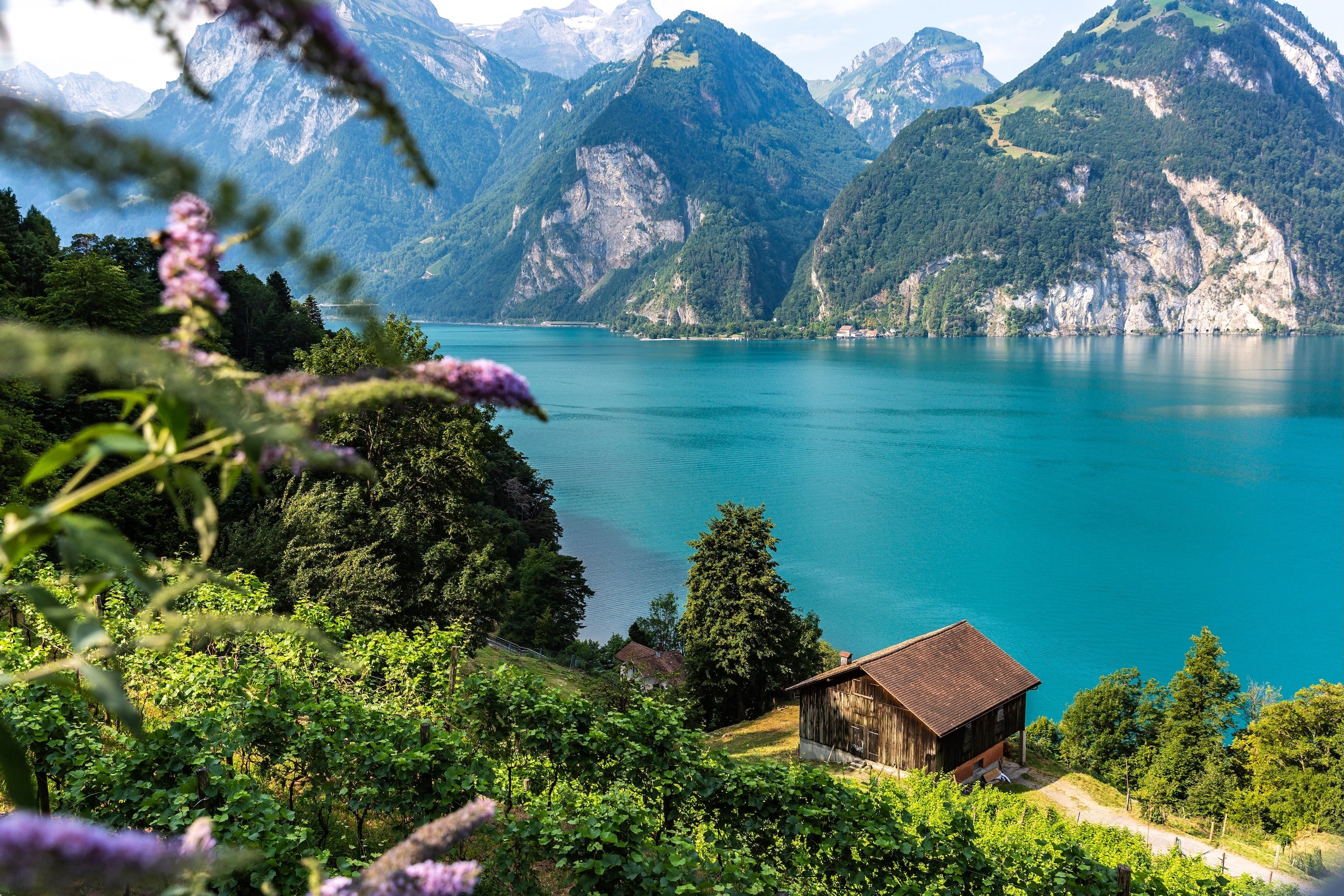 Daniela Faust - Alsace and Switzerland