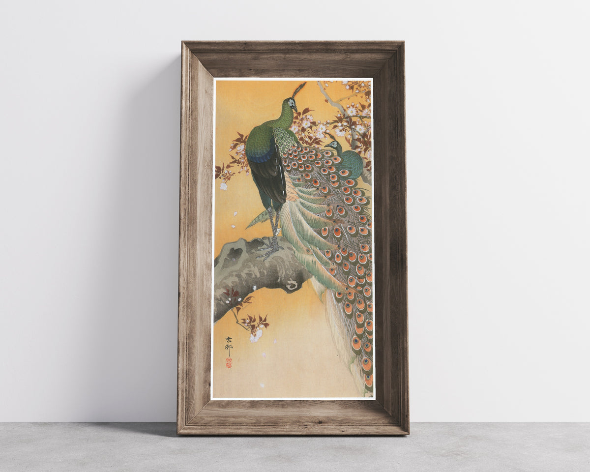 Ohara Koson — Pair of Peacocks on Cherry | Japanese Bird & Flower Woodblock Print