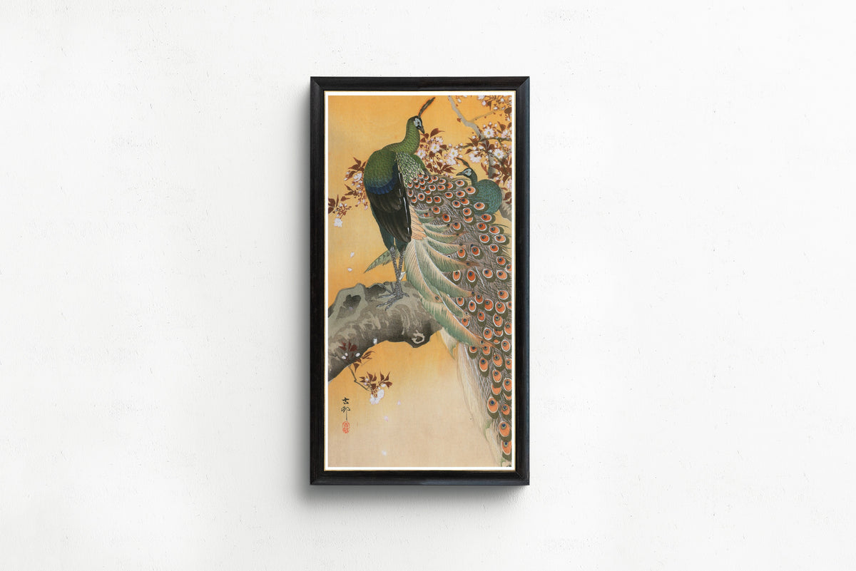 Ohara Koson — Pair of Peacocks on Cherry | Japanese Bird & Flower Woodblock Print