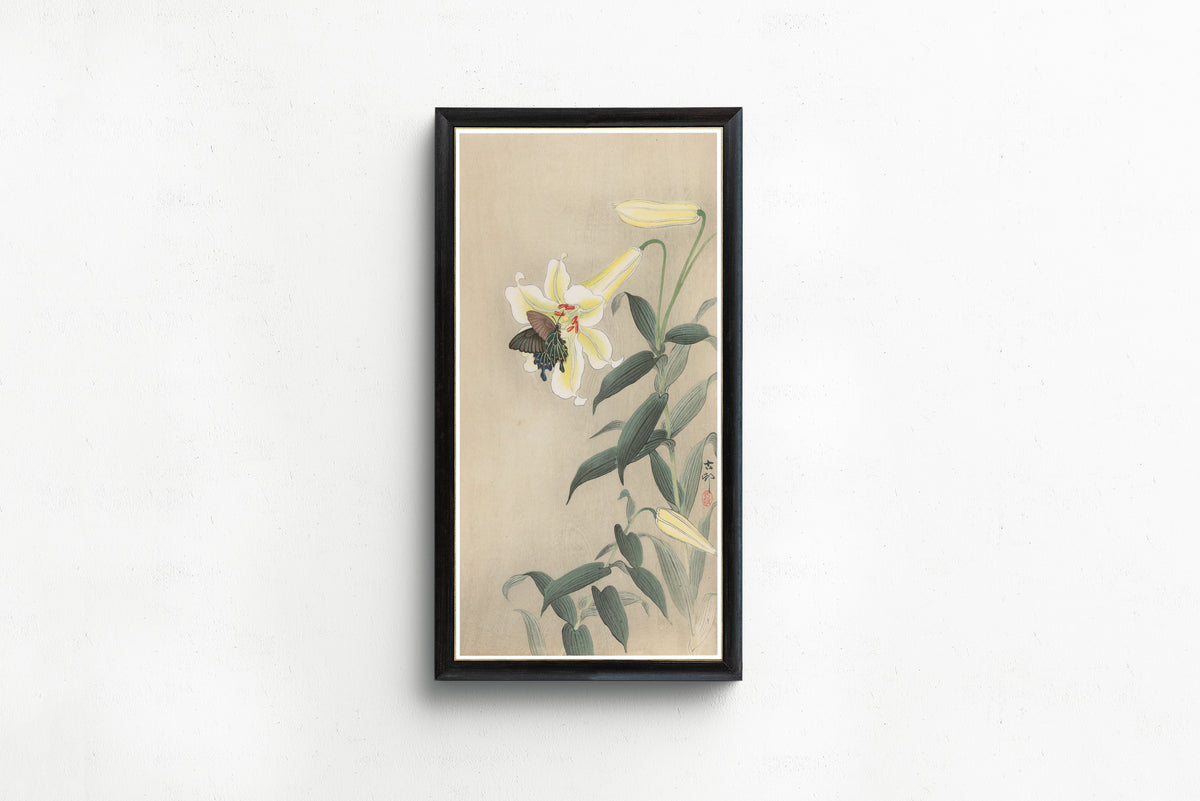 Ohara Koson — Lily and Black Swallowtail | Japanese Bird & Flower Woodblock Print