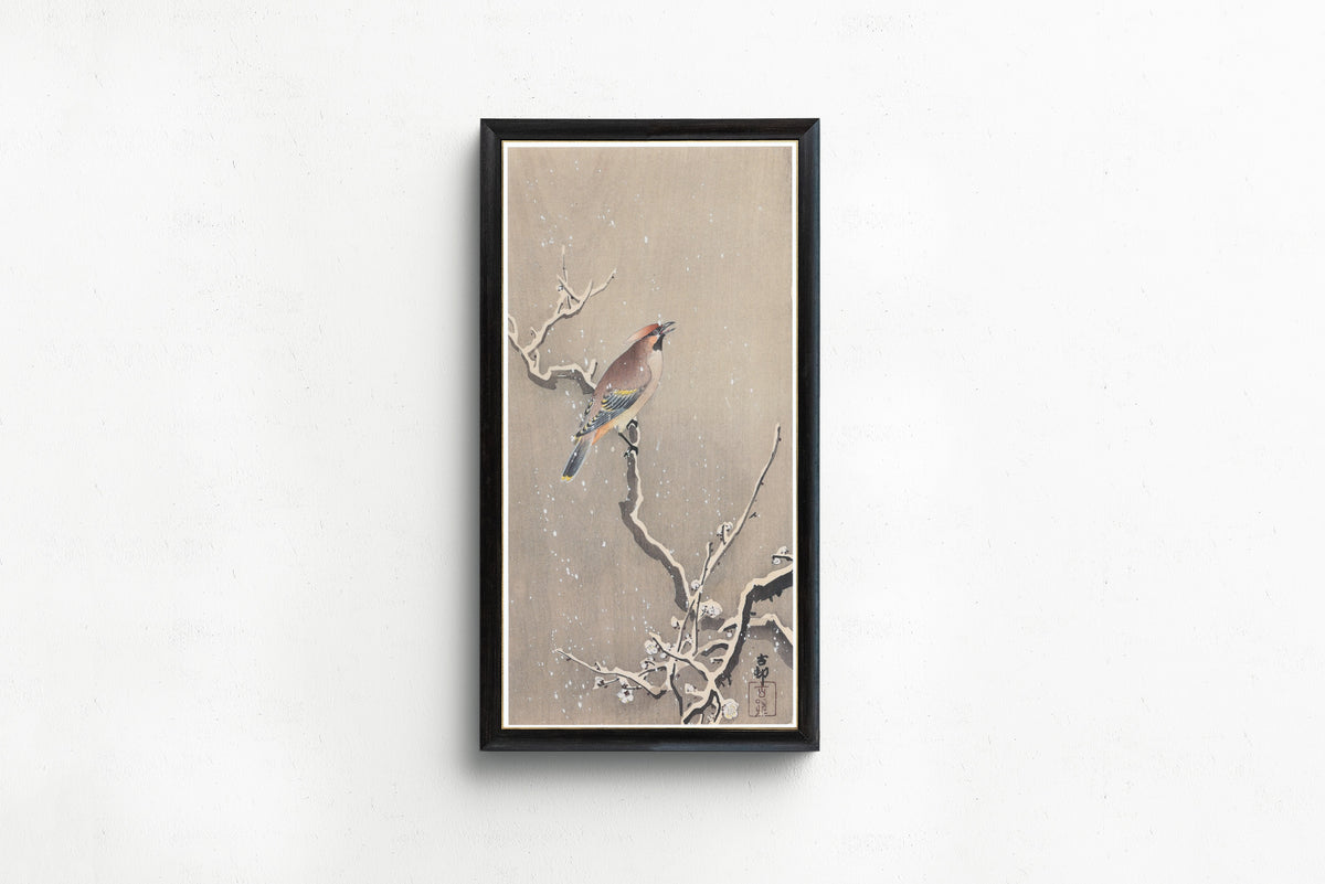 Ohara Koson — Waxwing on Snowy Plum | Japanese Bird & Flower Woodblock Print