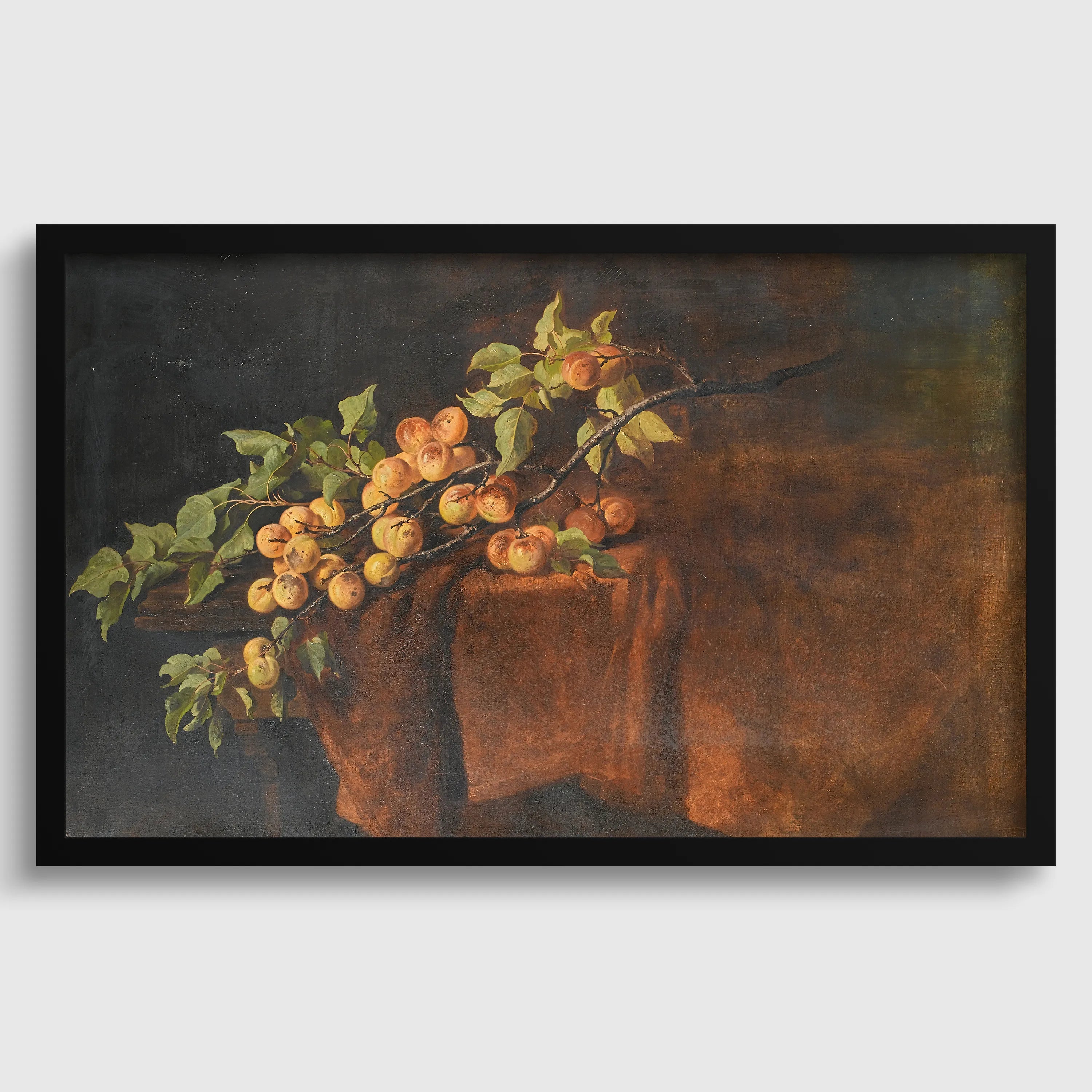 Adam Ludwig Kunz - Apricot Branch | Famous Still Life Art (available handframed or unframed)