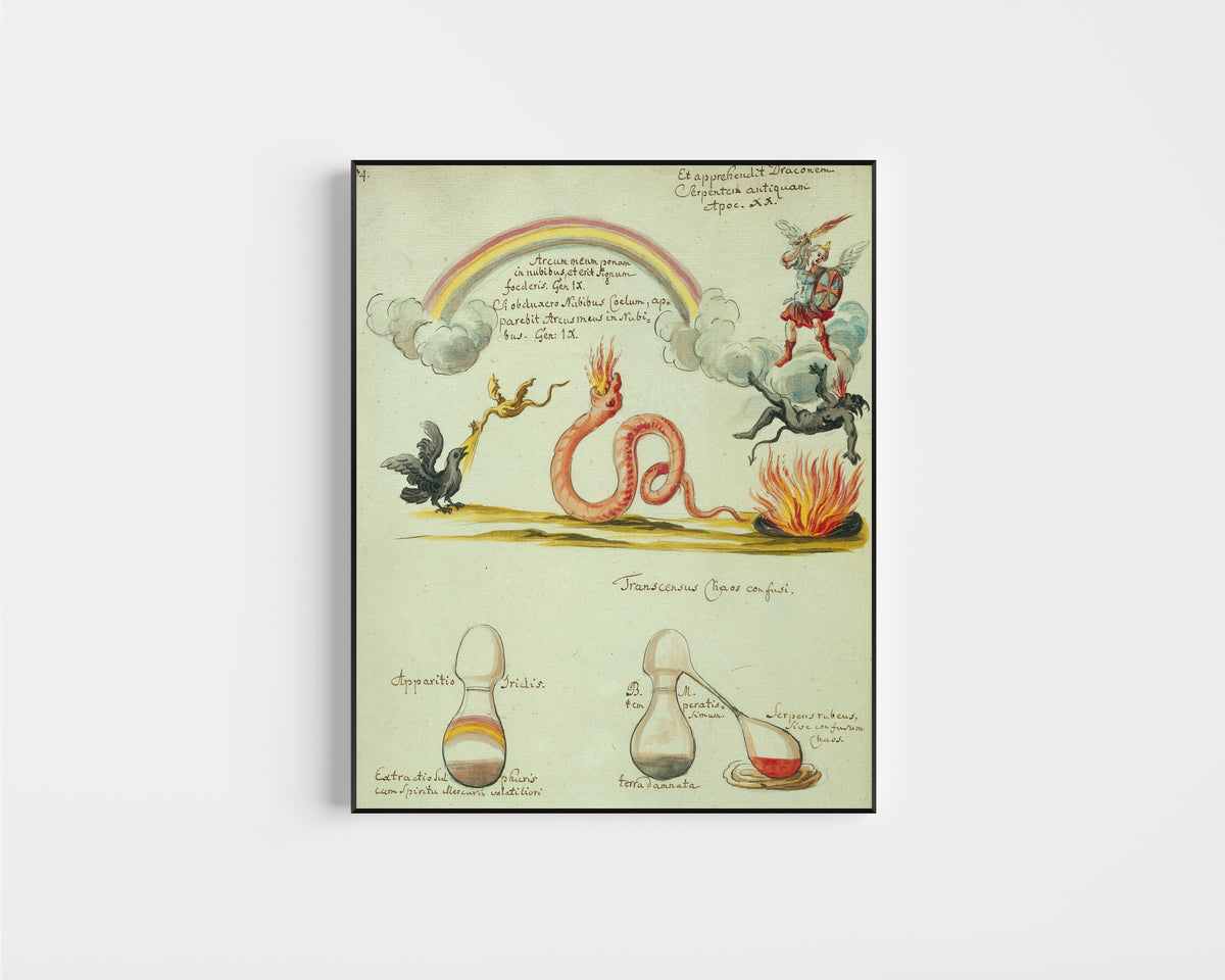 Framed art print of A Rainbow over Dragon and Serpent, above Two Alembics by Thesaurus Thesaurorum, in a slim black frame on a plain white wall