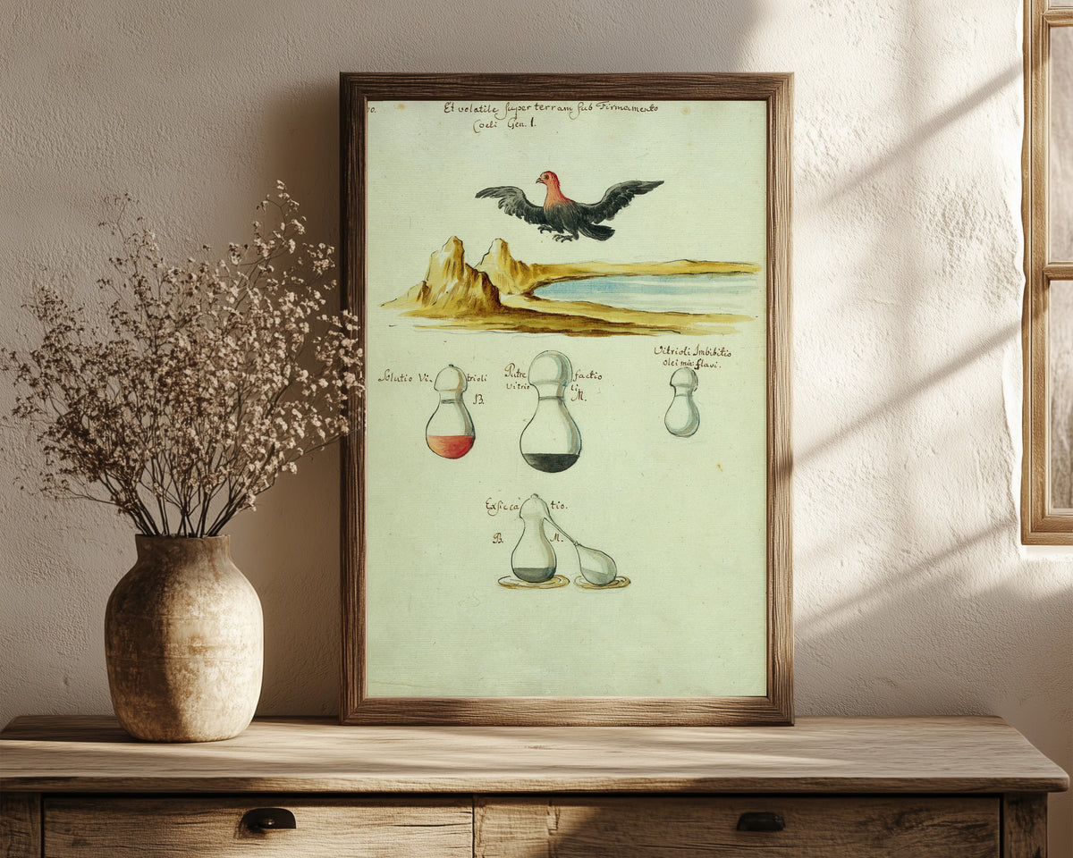 Framed art print of A Red-Headed Bird over a Lake, above Three… by Thesaurus Thesaurorum, in a dark wood frame leaning on a rustic console beside dried flowers