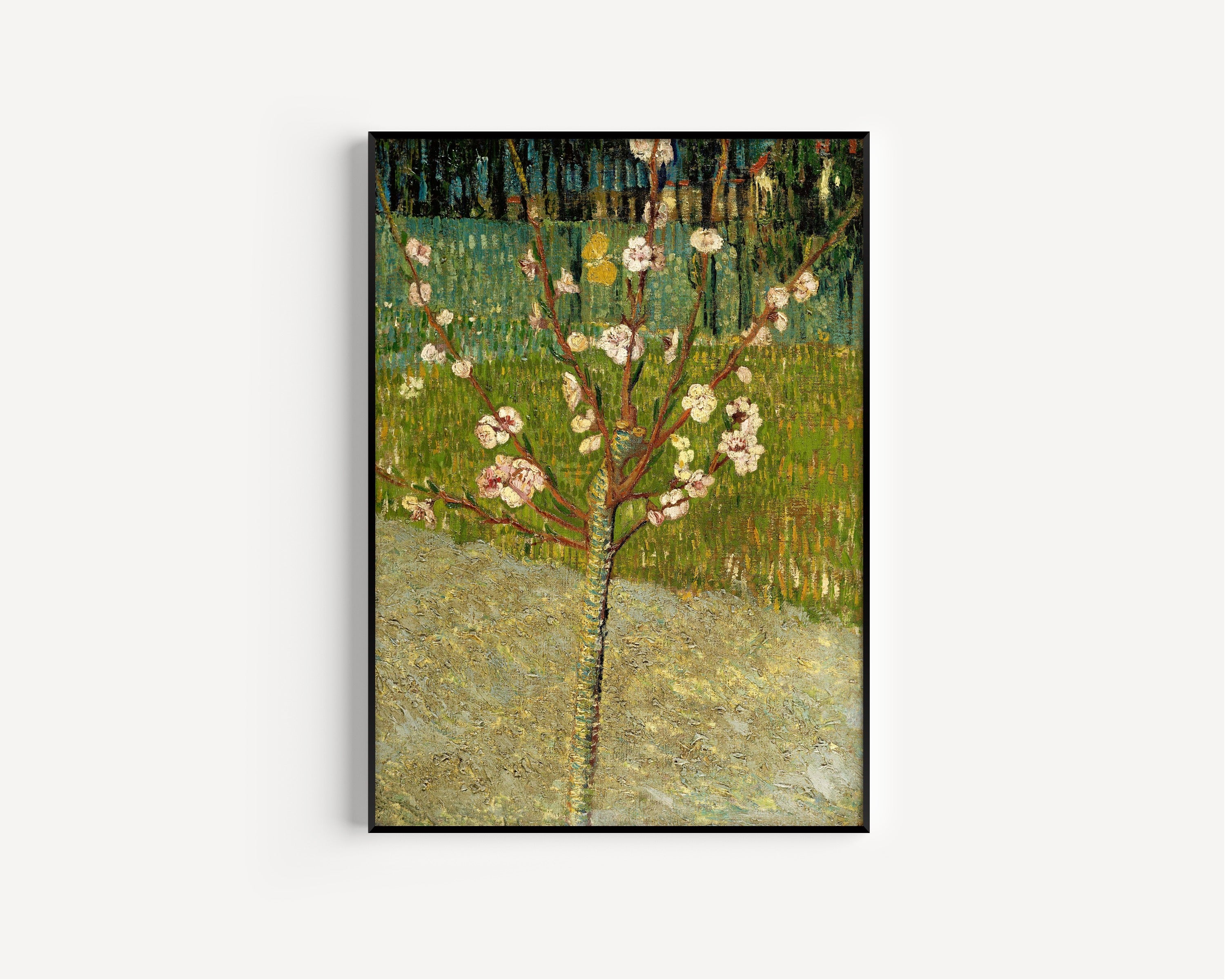 Vincent van Gogh — Almond Tree in Blossom | Fine Art Print