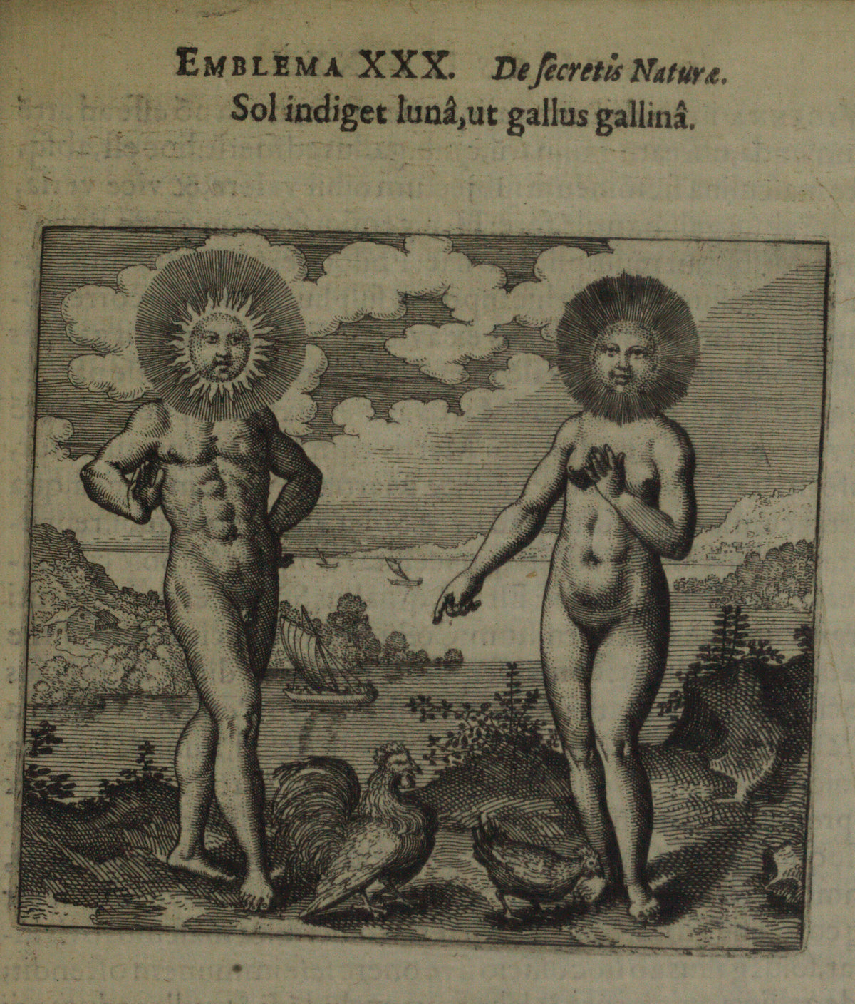 Michael Maier — Atalanta Fugiens, Emblem 30: The Sun Needs the Moon as the Cock Needs the Hen | Alchemical Engraving Print