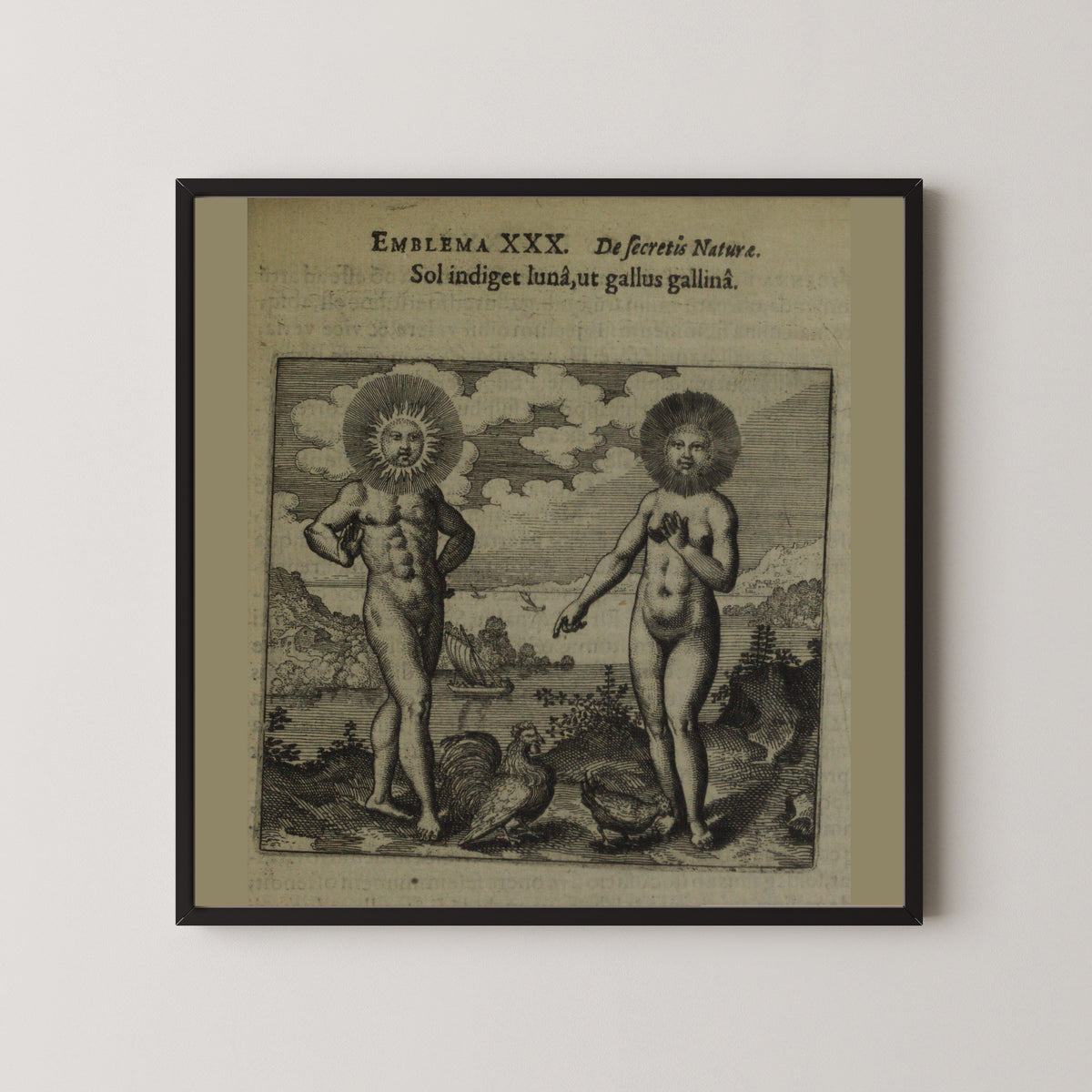 Michael Maier — Atalanta Fugiens, Emblem 30: The Sun Needs the Moon as the Cock Needs the Hen | Alchemical Engraving Print