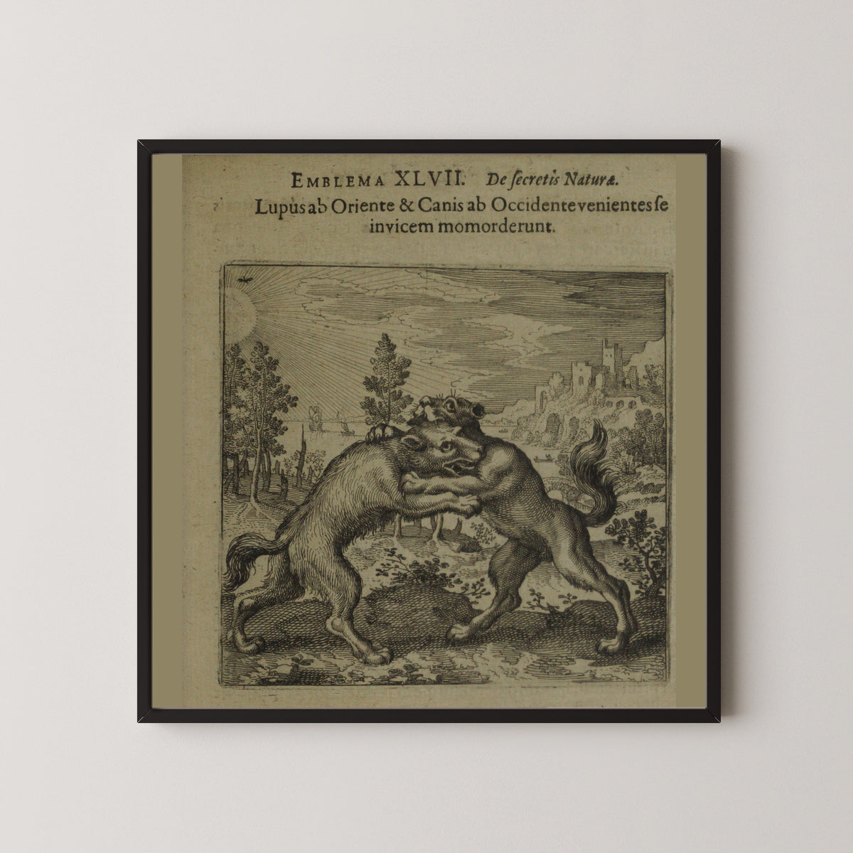 Michael Maier — Atalanta Fugiens, Emblem 47: A Wolf Coming from the East and a Dog from the West Bit One Another | Alchemical Engraving Print