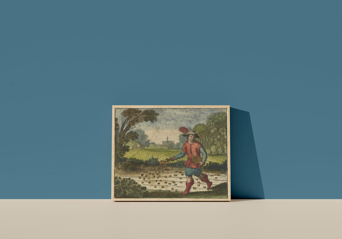 Framed art print of Atalanta Fugiens, Emblem 6: Sow Your Gold in the White Foliate Earth by Michael Maier, in a light wood frame leaning on a blue wall