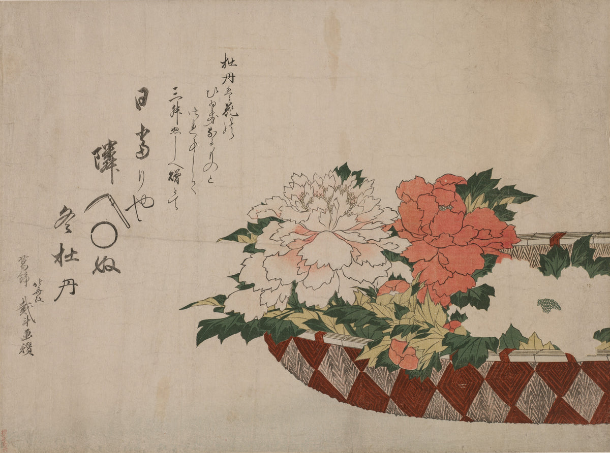 Basket of Peonies by Katsushika Hokusai — A coral and a white peony spill from a diamond-woven basket