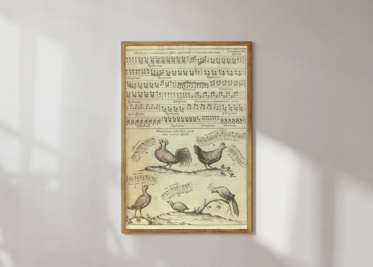 Framed art print of Birdsong Notated in Music (Musurgia Universalis) by Athanasius Kircher, in a light wood frame on a sunlit white wall