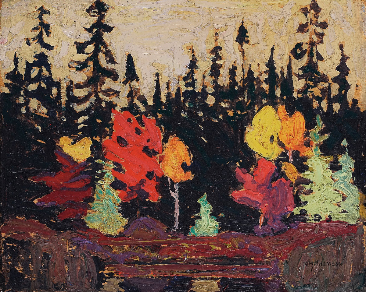 Tom Thomson — Black Spruce and Maple | Landscape Fine Art Print