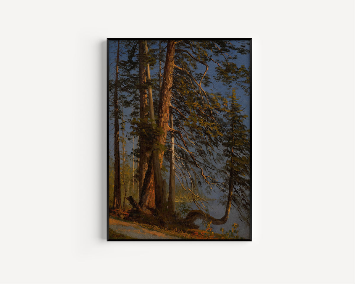 Albert Bierstadt — Park at Vancouver | Landscape Fine Art Print