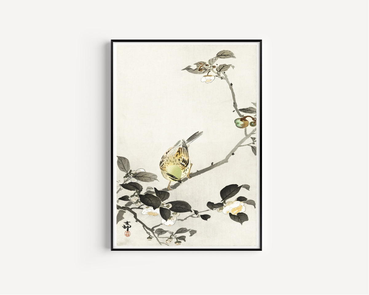 Ohara Koson — Bunting on Blossom Branch | Japanese Bird & Flower Woodblock Print