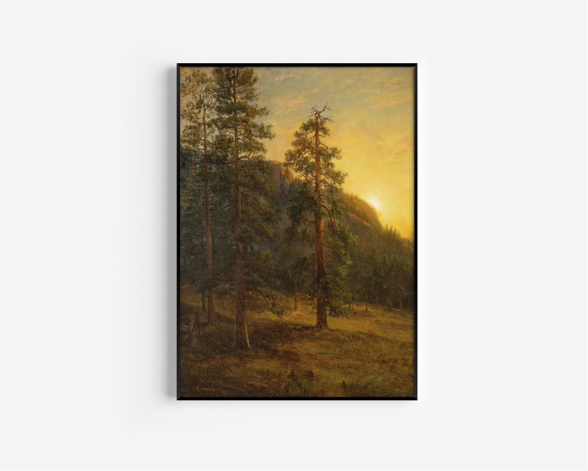 Albert Bierstadt — California Redwoods | Landscape Fine Art Print