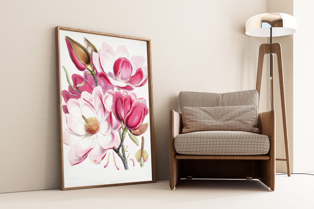 Walter Hood Fitch — Campbell's Magnolia (Magnolia campbellii) | Lithograph Print