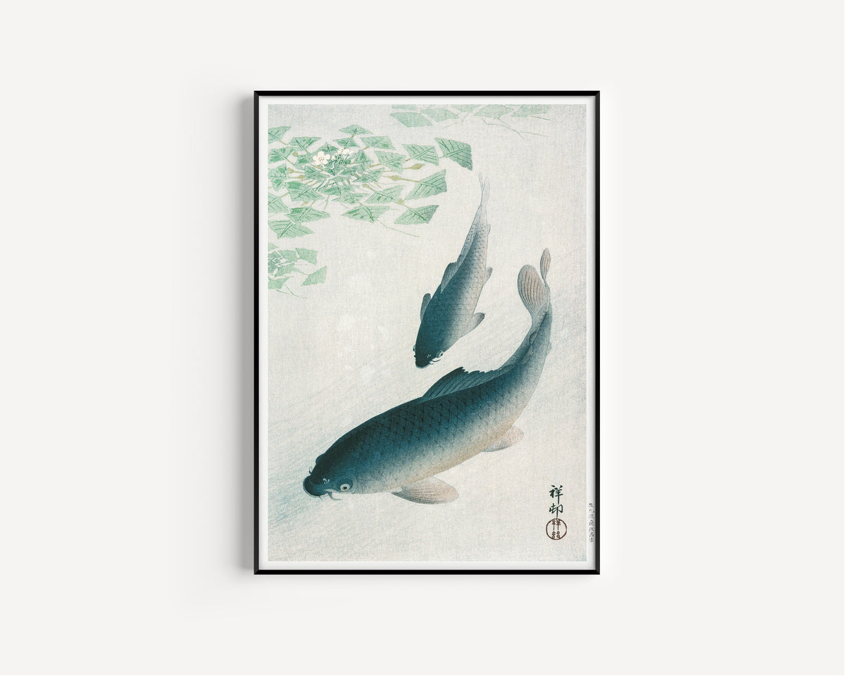 Ohara Koson — Carp or Koi | Japanese Bird & Flower Woodblock Print