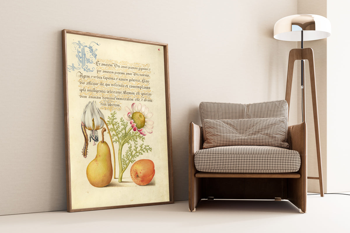 Joris Hoefnagel — Caterpillar, Dog-Tooth Violet, Pear, and Apricot | Botanical Calligraphy Print