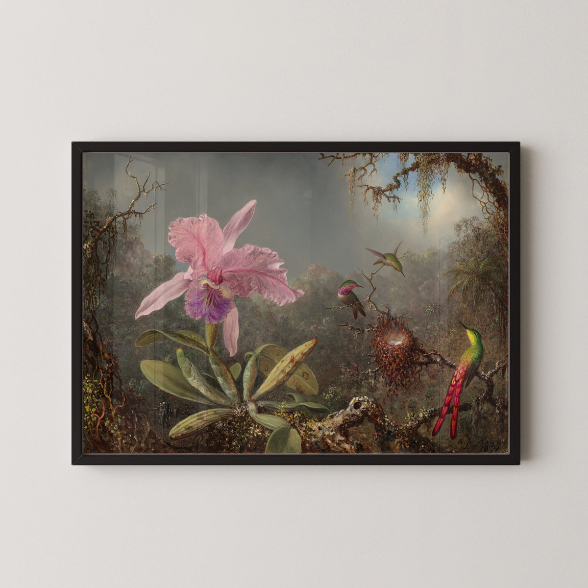 Martin Johnson Heade — Cattleya Orchid and Three Hummingbirds | Fine Art Print