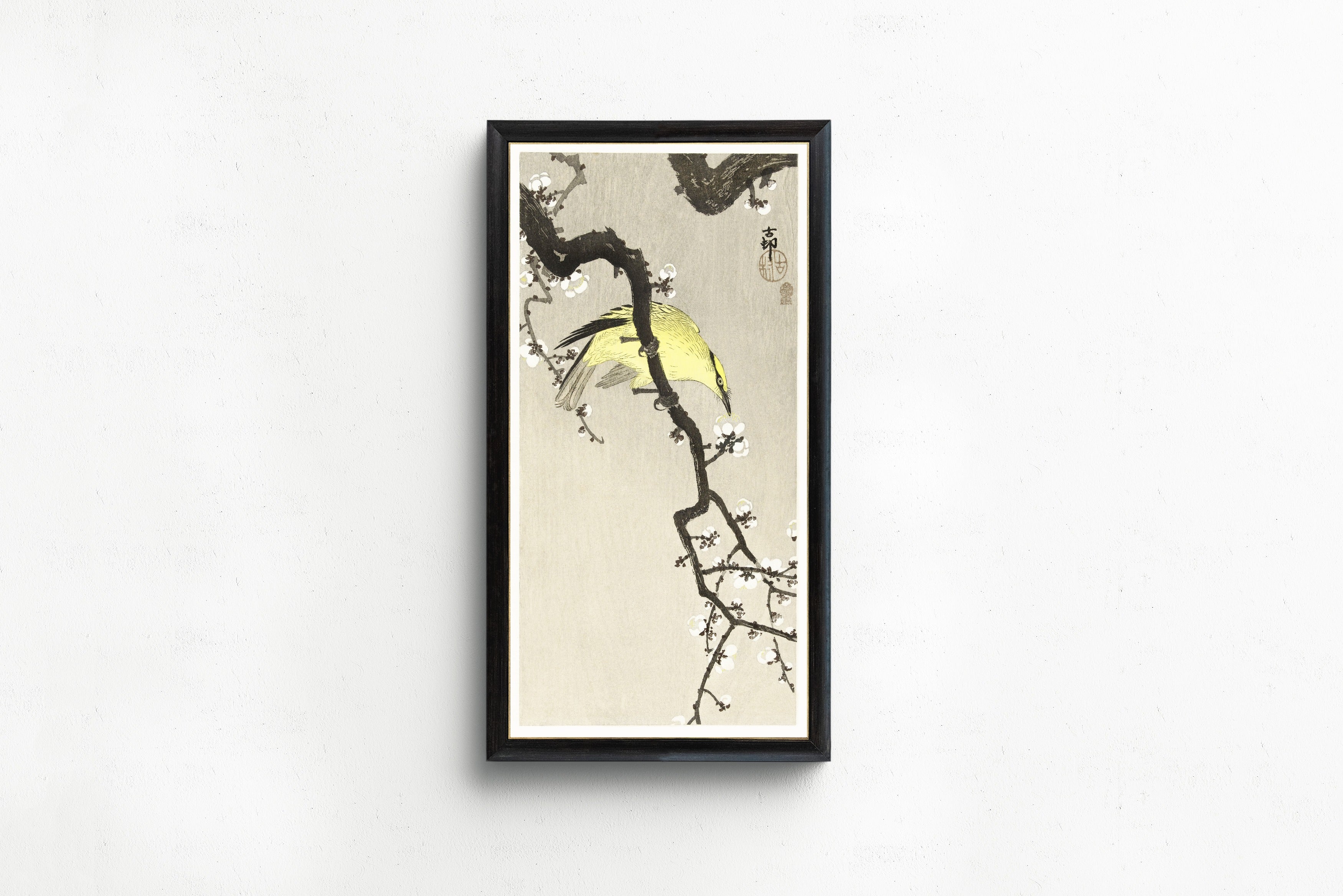 Ohara Koson — Chinese Oriole on Plum Blossom Branch | Japanese Bird & Flower Woodblock Print