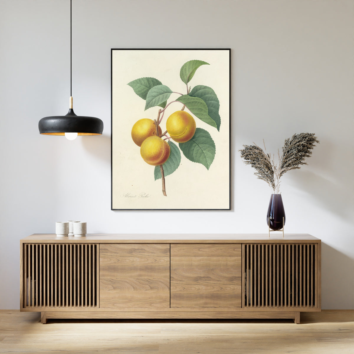 Pierre-Joseph Redouté — Choix des plus belles fleurs: Abricot Pêche | Botanical Illustration Print