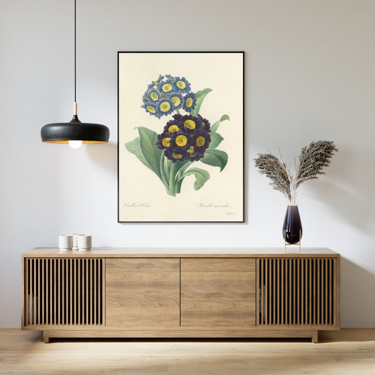 Pierre-Joseph Redouté — Choix des plus belles fleurs: Auricula | Botanical Illustration Print