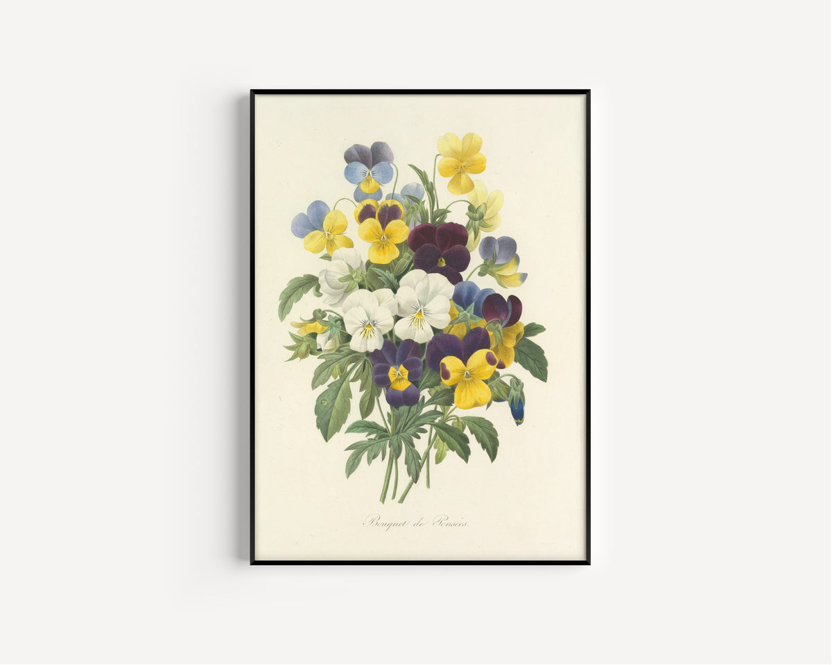 Pierre-Joseph Redouté — Choix des plus belles fleurs: Bouquet of Pansies | Botanical Illustration Print