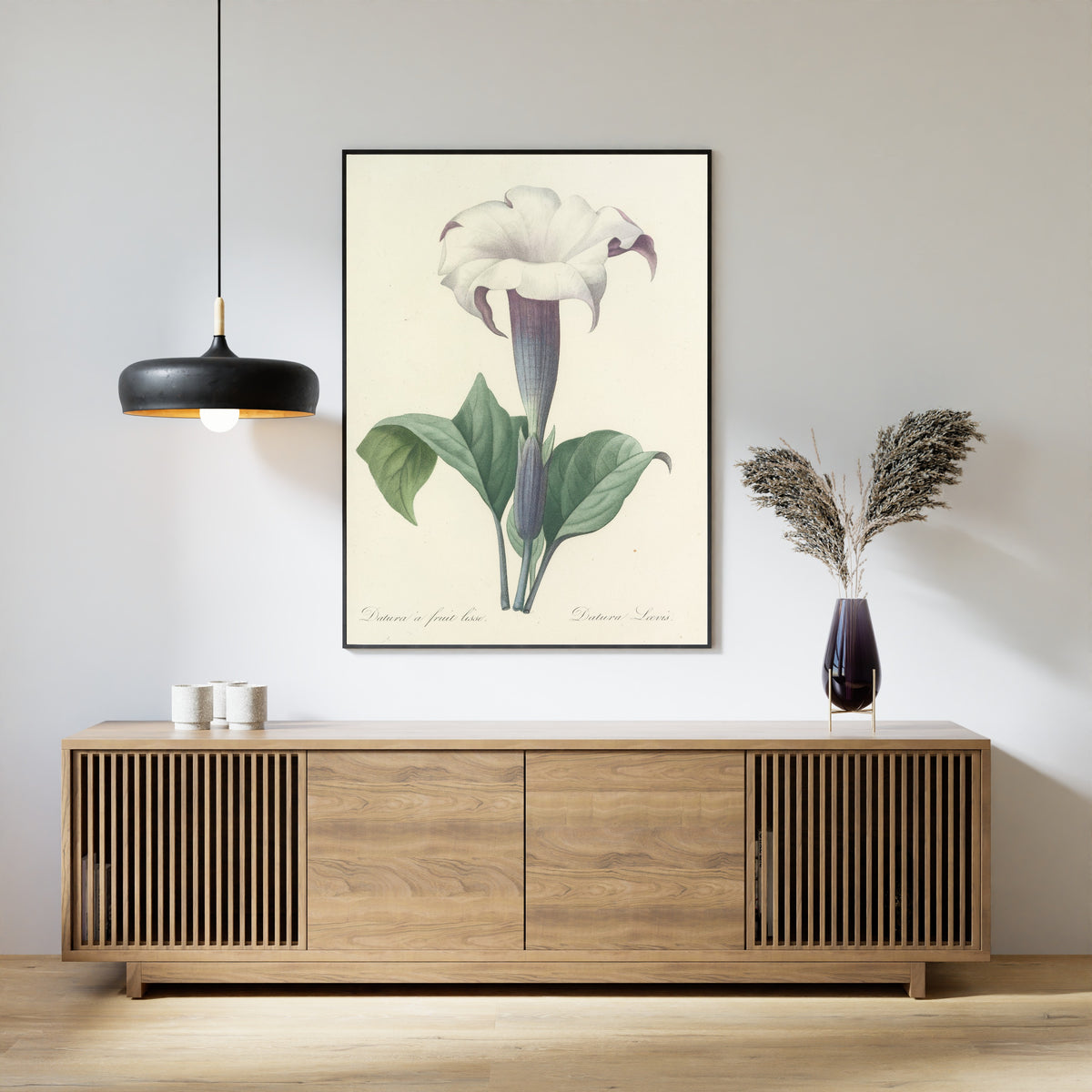 Pierre-Joseph Redouté — Choix des plus belles fleurs: Datura Lævis | Botanical Illustration Print