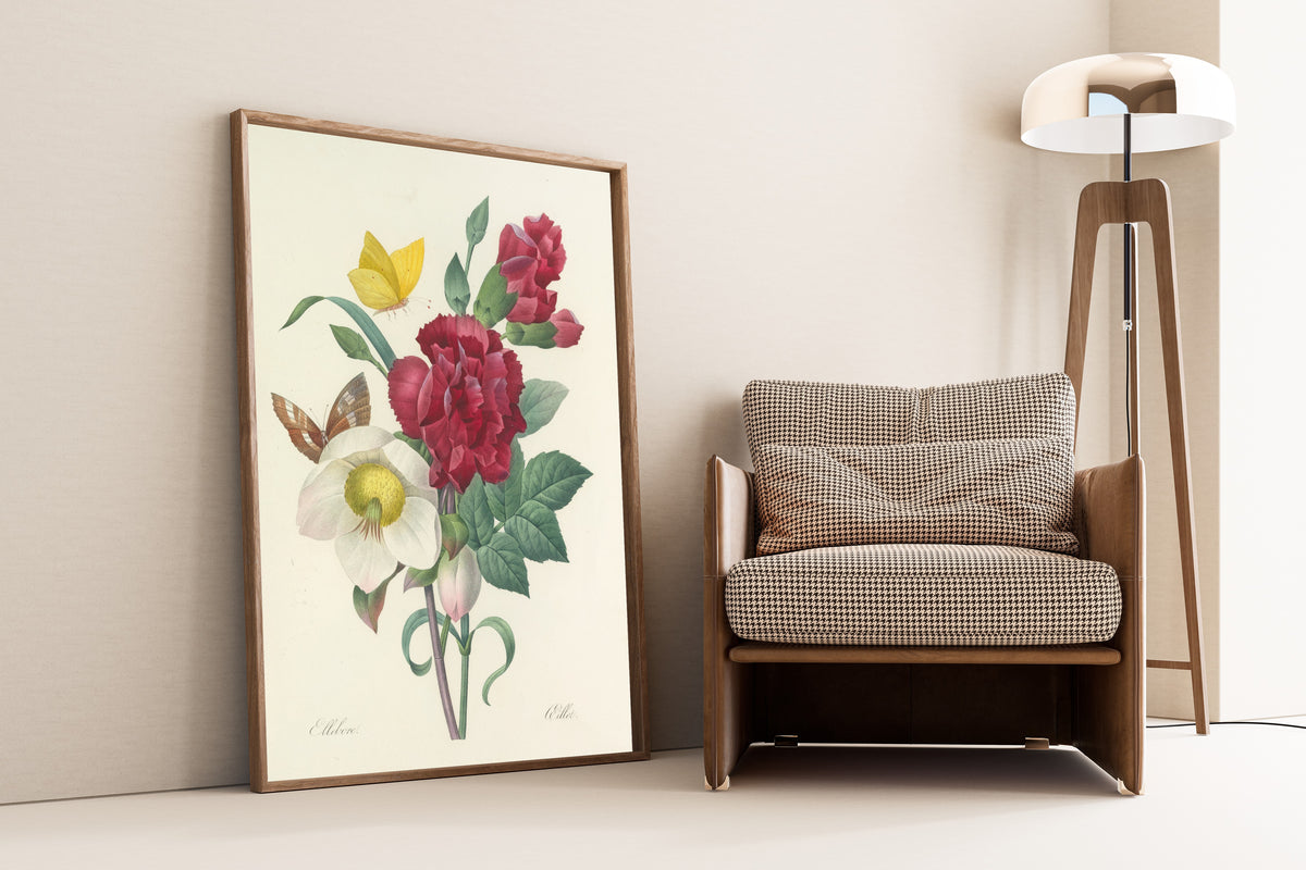 Pierre-Joseph Redouté — Choix des plus belles fleurs: Hellebore and Carnation | Botanical Illustration Print