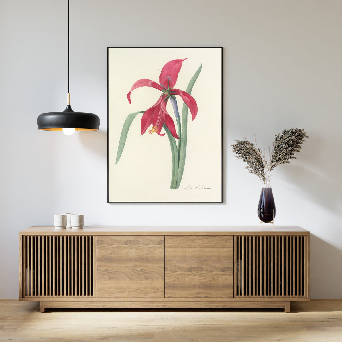 Pierre-Joseph Redouté — Choix des plus belles fleurs: Lys St. Jacques (Jacobean Lily) | Botanical Illustration Print