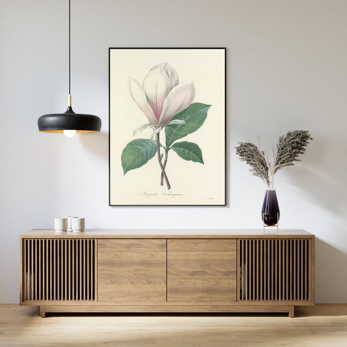 Pierre-Joseph Redouté — Choix des plus belles fleurs: Magnolia Soulangiana | Botanical Illustration Print
