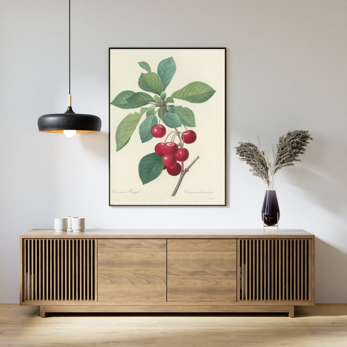 Pierre-Joseph Redouté — Choix des plus belles fleurs: Royal Cherry | Botanical Illustration Print