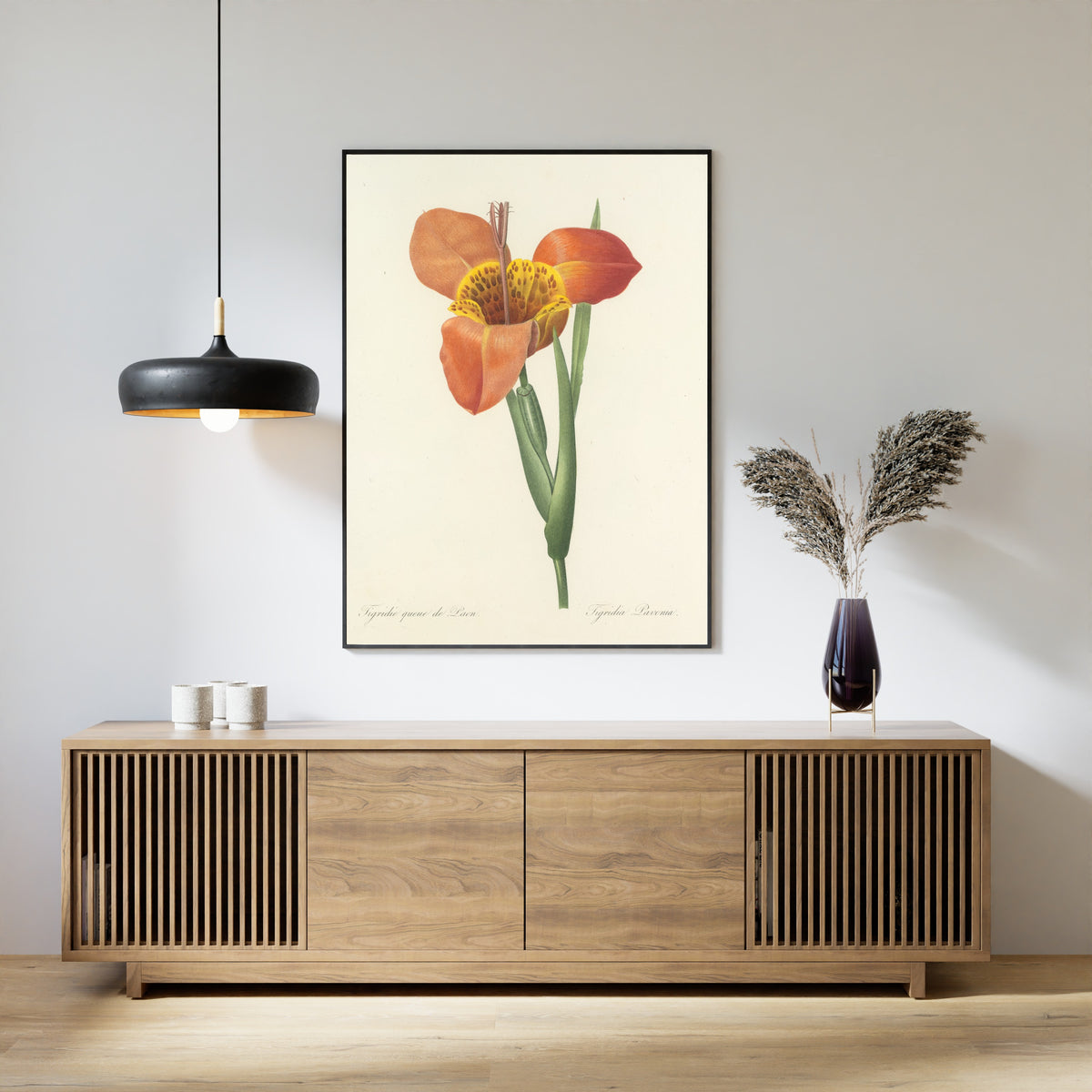 Pierre-Joseph Redouté — Choix des plus belles fleurs: Tigridia Pavonia | Botanical Illustration Print