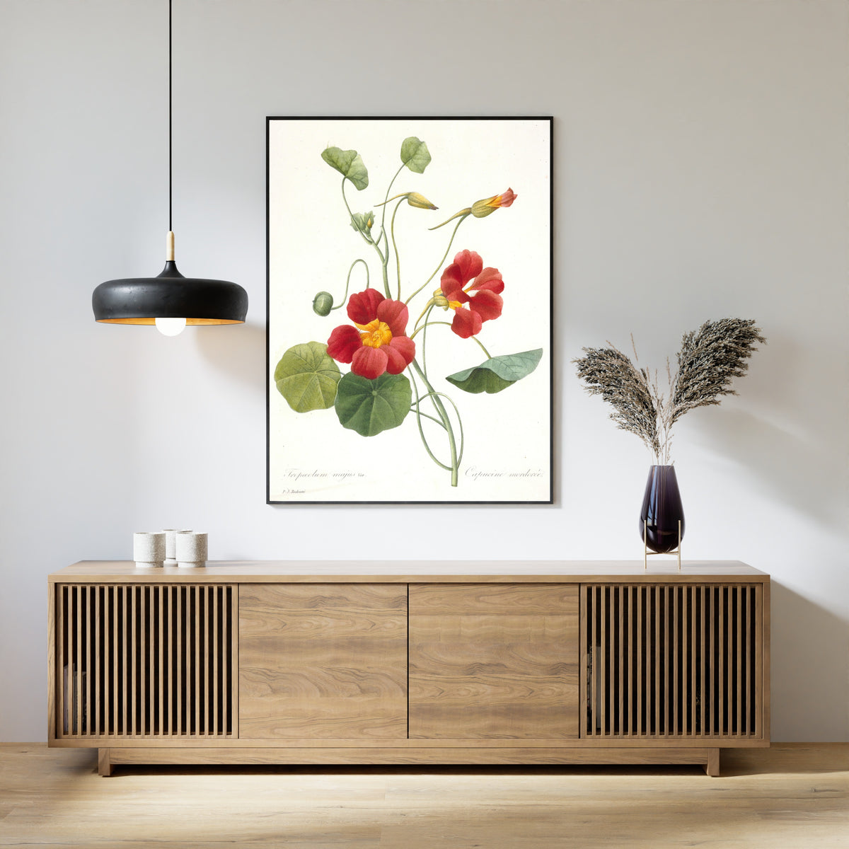 Pierre-Joseph Redouté — Choix des plus belles fleurs: Tropaeolum majus | Botanical Illustration Print