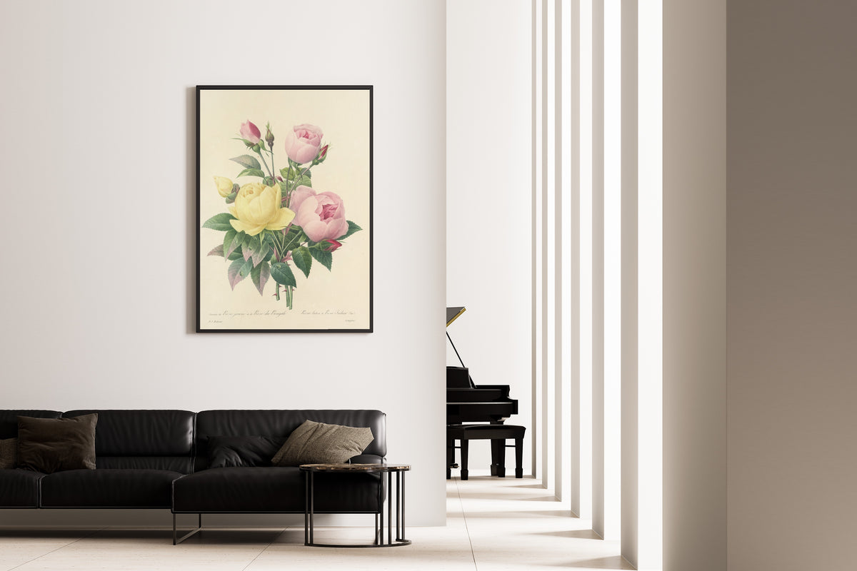 Pierre-Joseph Redouté — Choix des plus belles fleurs: Yellow Rose and Bengal Rose | Botanical Illustration Print
