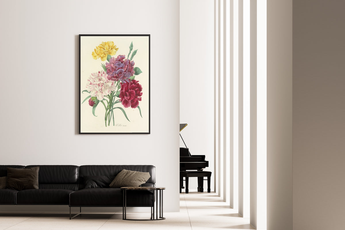 Pierre-Joseph Redouté — Choix des plus belles fleurs, Plate 1: Œillet Variété | Botanical Illustration Print