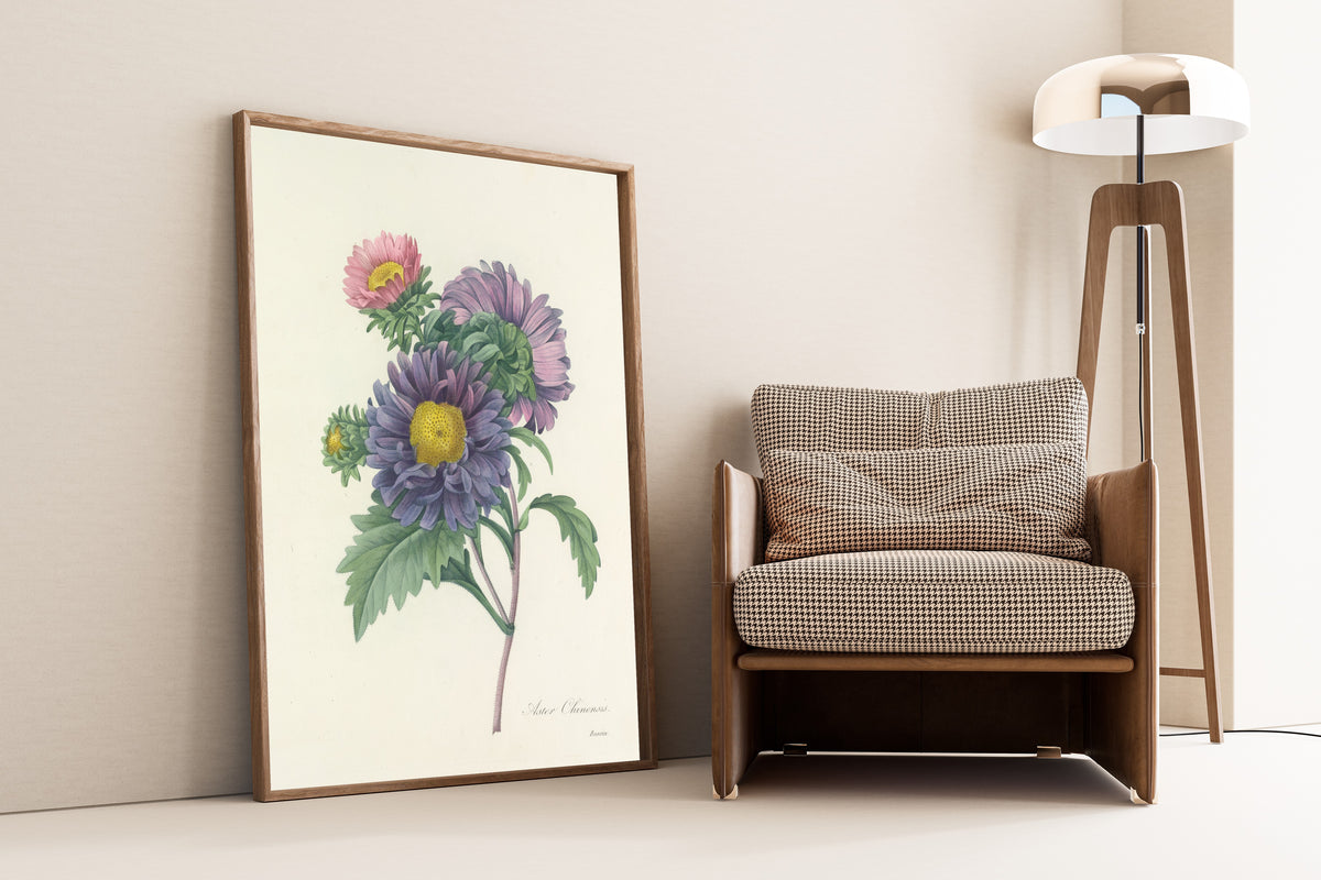 Framed art print of Choix des plus belles fleurs, Plate 10: Aster Chinensis by Pierre-Joseph Redouté, leaning against a wall beside an armchair and a floor lamp
