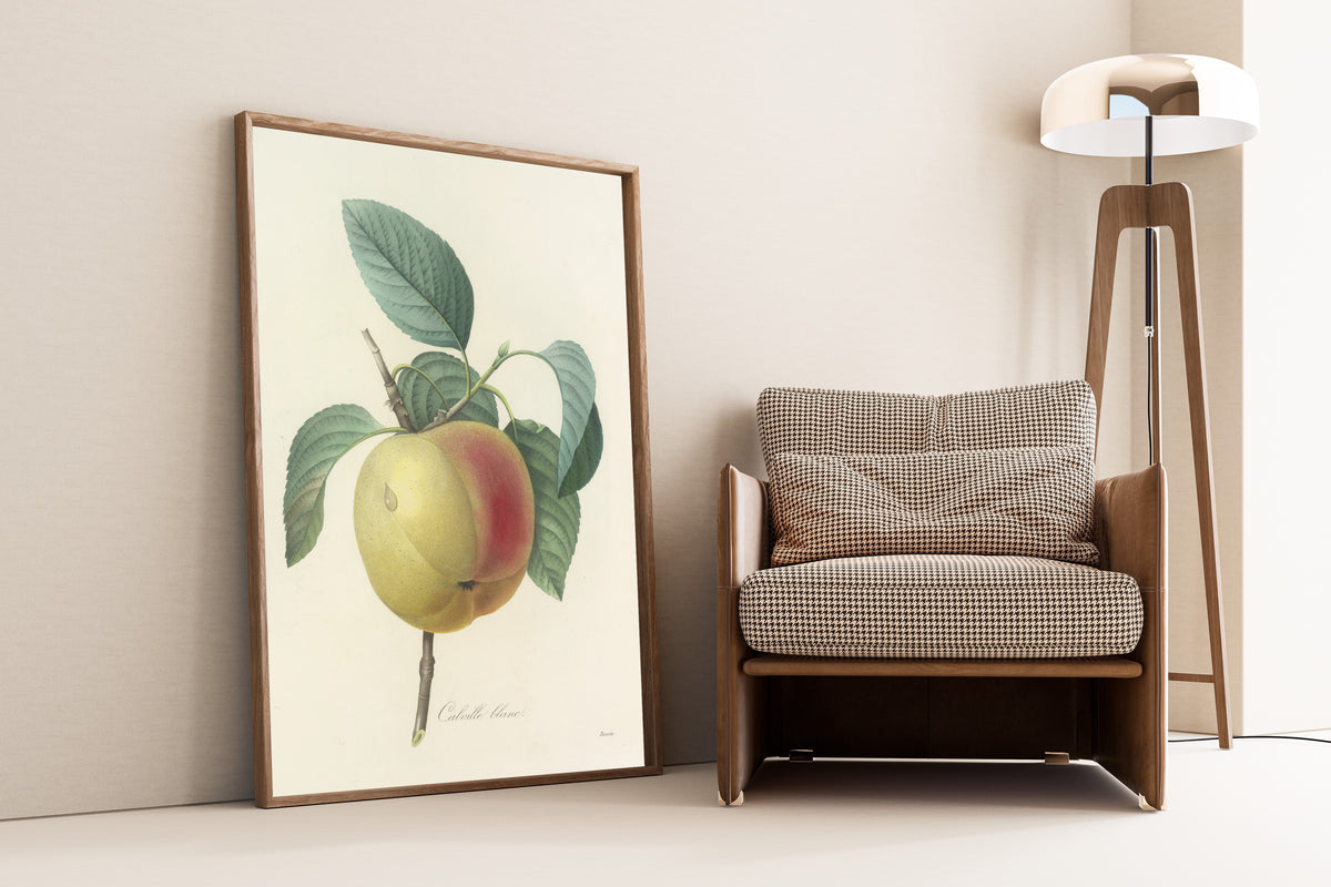 Framed art print of Choix des plus belles fleurs, Plate 14: Calville Blanc by Pierre-Joseph Redouté, leaning against a wall beside an armchair and a floor lamp