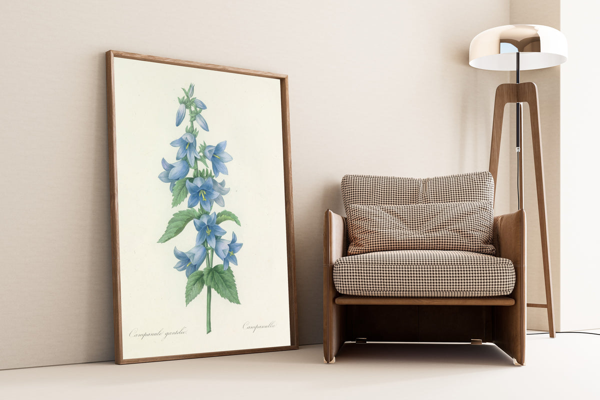 Framed art print of Choix des plus belles fleurs, Plate 21: Campanule… by Pierre-Joseph Redouté, leaning against a wall beside an armchair and a floor lamp
