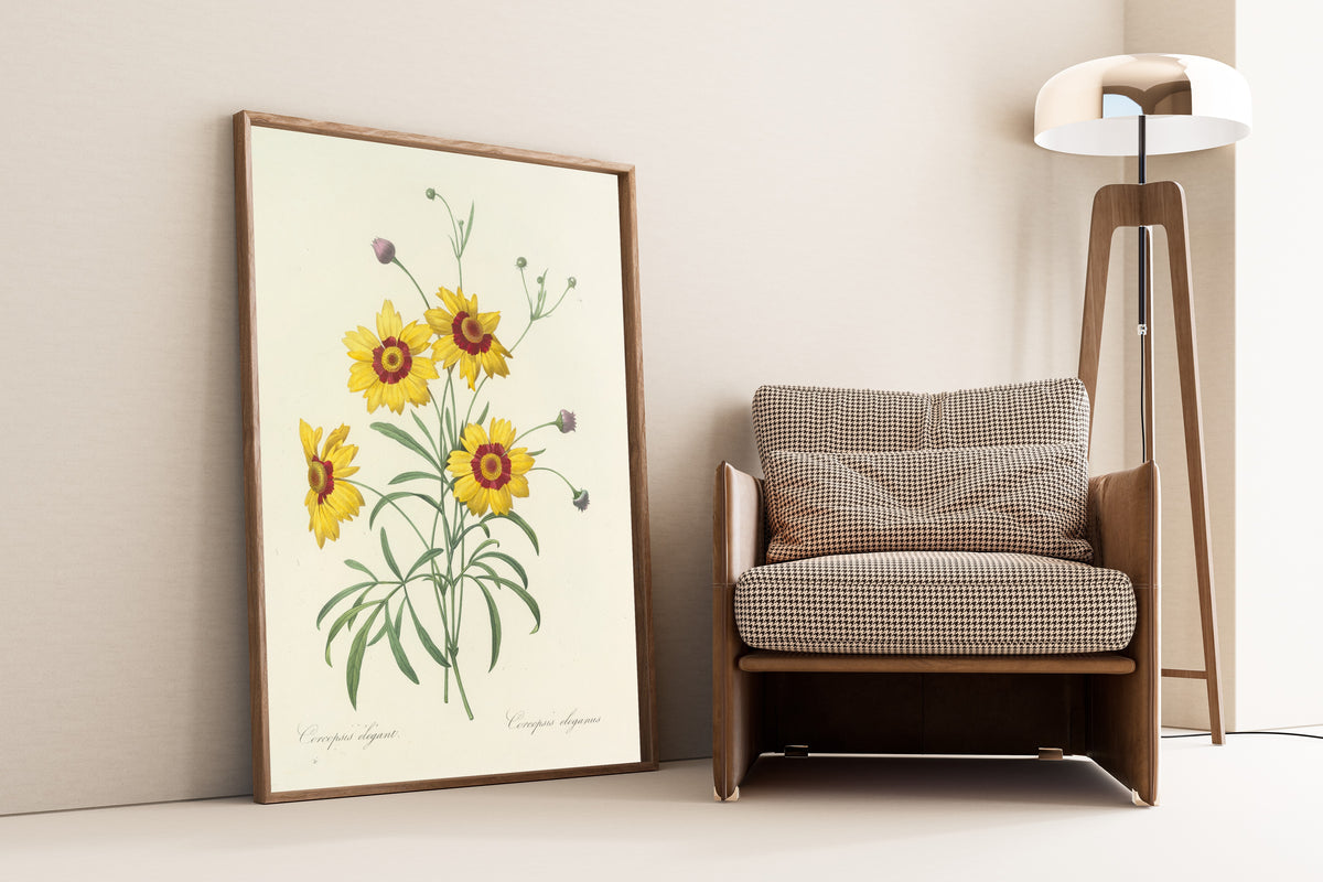 Framed art print of Choix des plus belles fleurs, Plate 26: Coreopsis… by Pierre-Joseph Redouté, leaning against a wall beside an armchair and a floor lamp