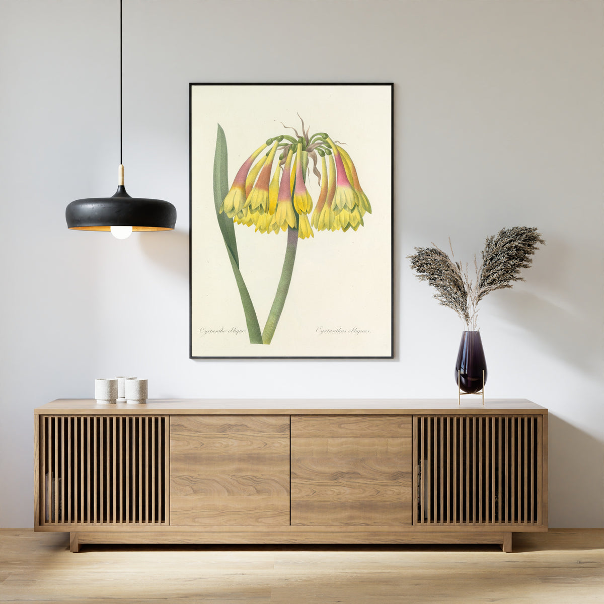 Framed art print of Choix des plus belles fleurs, Plate 30: Cyrtanthus Obliquus by Pierre-Joseph Redouté, above a slatted wood sideboard