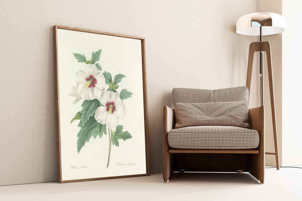 Framed art print of Choix des plus belles fleurs, Plate 4: Hibiscus… by Pierre-Joseph Redouté, leaning against a wall beside an armchair and a floor lamp