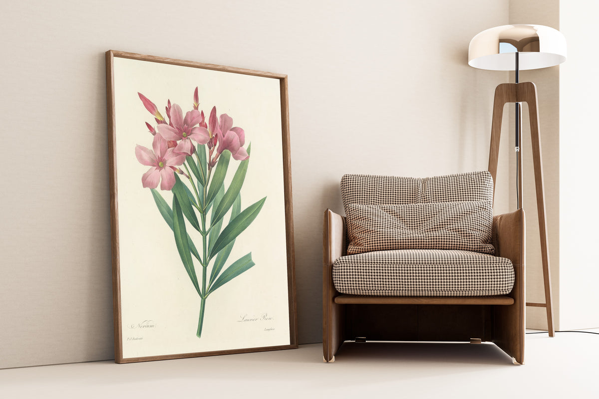 Framed art print of Choix des plus belles fleurs, Plate 40: Nerium by Pierre-Joseph Redouté, leaning against a wall beside an armchair and a floor lamp