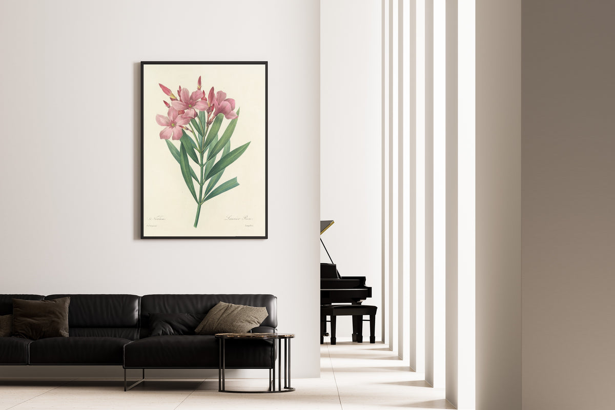 Framed art print of Choix des plus belles fleurs, Plate 40: Nerium by Pierre-Joseph Redouté, on the wall of a minimal living room