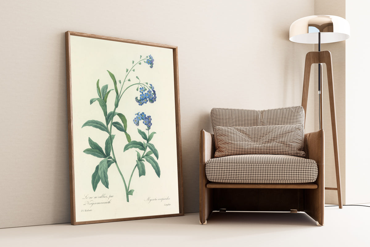 Framed art print of Choix des plus belles fleurs, Plate 50: Myosotis… by Pierre-Joseph Redouté, leaning against a wall beside an armchair and a floor lamp