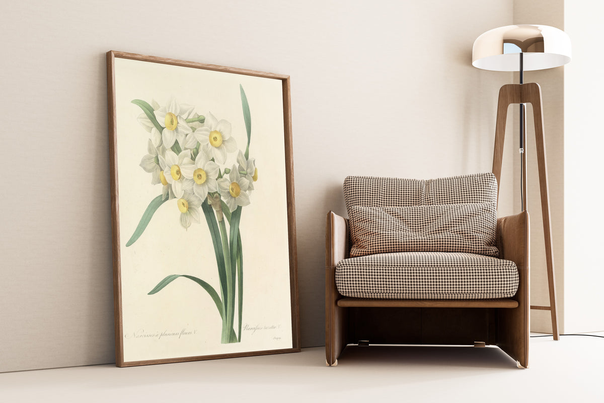 Framed art print of Choix des plus belles fleurs, Plate 53: Narcissus… by Pierre-Joseph Redouté, leaning against a wall beside an armchair and a floor lamp
