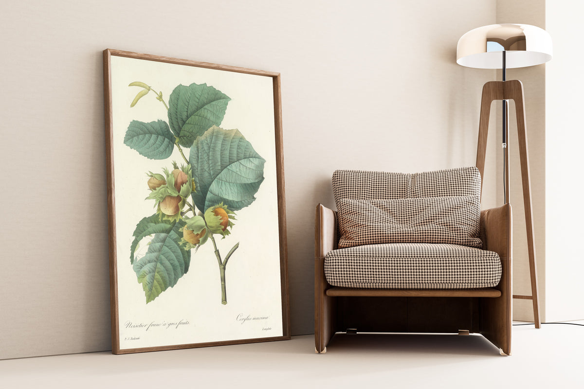 Framed art print of Choix des plus belles fleurs, Plate 54: Corylus Maxima by Pierre-Joseph Redouté, leaning against a wall beside an armchair and a floor lamp