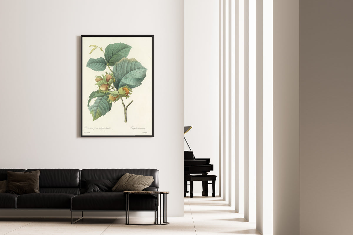 Framed art print of Choix des plus belles fleurs, Plate 54: Corylus Maxima by Pierre-Joseph Redouté, on the wall of a minimal living room