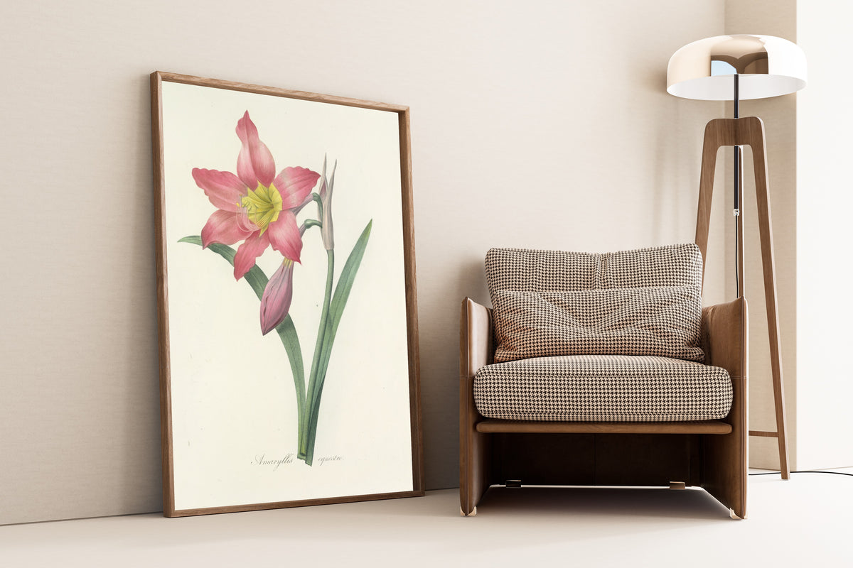 Framed art print of Choix des plus belles fleurs, Plate 6: Amaryllis… by Pierre-Joseph Redouté, leaning against a wall beside an armchair and a floor lamp