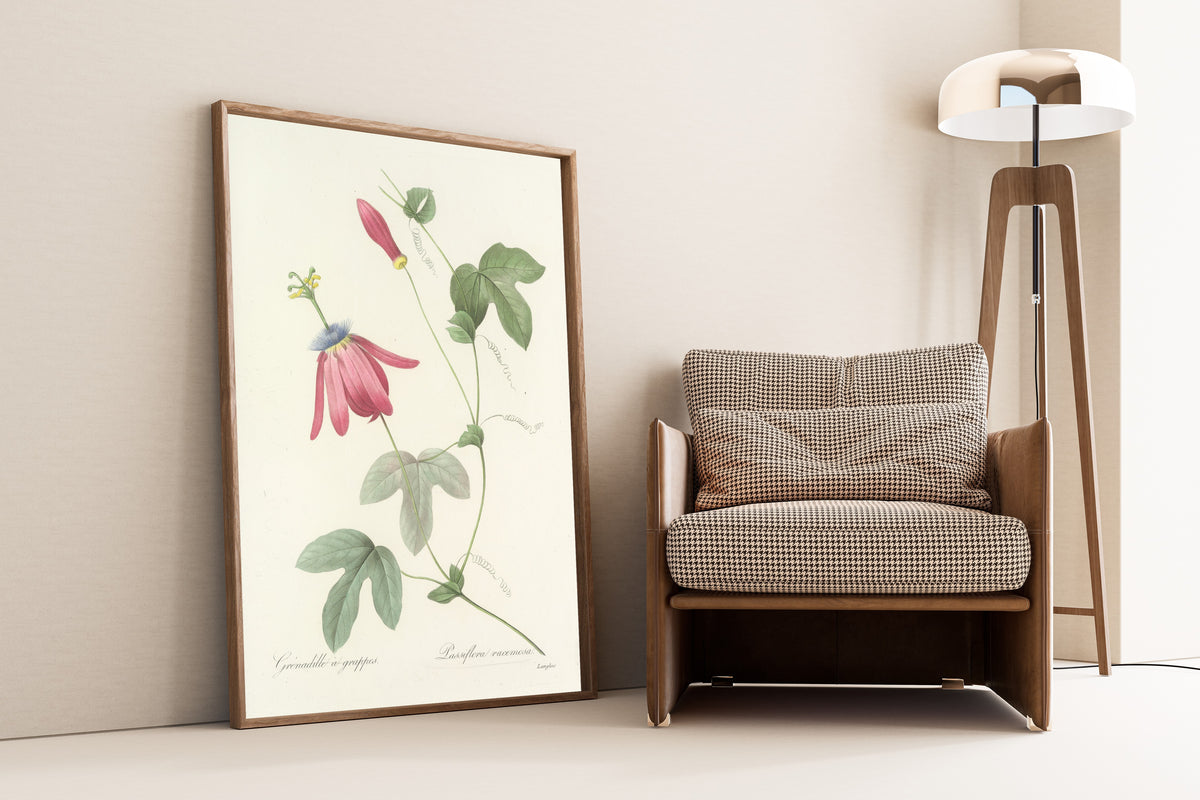 Framed art print of Choix des plus belles fleurs, Plate 62: Passiflora… by Pierre-Joseph Redouté, leaning against a wall beside an armchair and a floor lamp